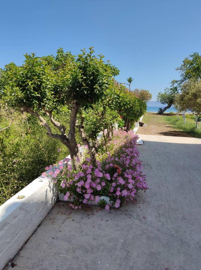 קאבוס Cavos Sunrise Beach Apartments מראה חיצוני תמונה